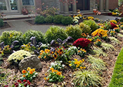 Landscaping Design and Installation