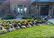 Landscaping Design and Installation