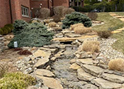 Landscaping Design and Installation