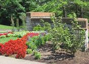 Landscaping Design and Installation