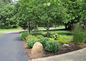 Landscaping Design and Installation