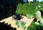 Landscaping Design and Installation