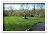 Lawn Care Services