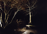 Outdoor Lighting Installation Services