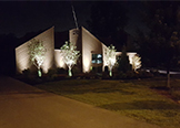 Outdoor Lighting Installation Services