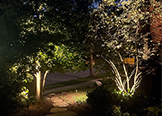 Outdoor Lighting Installation Services