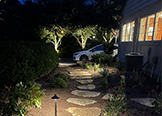 Outdoor Lighting Installation Services