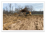 Tree Removal and Maintenance Services