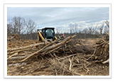 Tree Removal and Maintenance Services