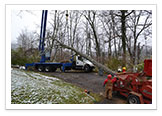 Tree Removal and Maintenance Services