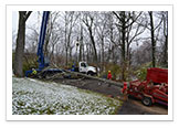 Tree Removal and Maintenance Services