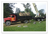 Tree Removal and Maintenance Services