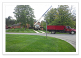 Tree Removal and Maintenance Services