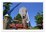 Tree Removal and Maintenance Services