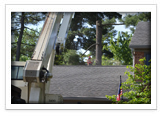 Tree Removal and Maintenance Services