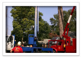 Tree Removal and Maintenance Services