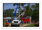 Tree Removal and Maintenance Services