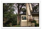 Tree Removal and Maintenance Services