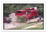 Tree Removal and Maintenance Services