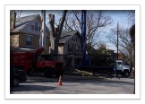 Tree Removal and Maintenance Services