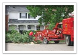 Tree Removal and Maintenance Services