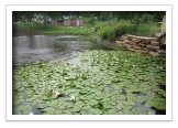 Outdoor Water Feature Installation