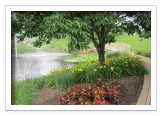 Outdoor Water Feature Installation