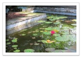 Outdoor Water Feature Installation