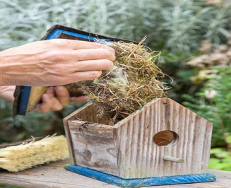 Garden Chores